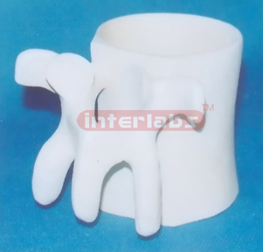 LUMBAR VERTEBREA MUG